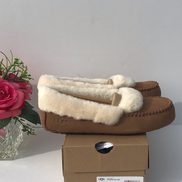 UGG Dakota Spill Seam - Picture 8 of 8